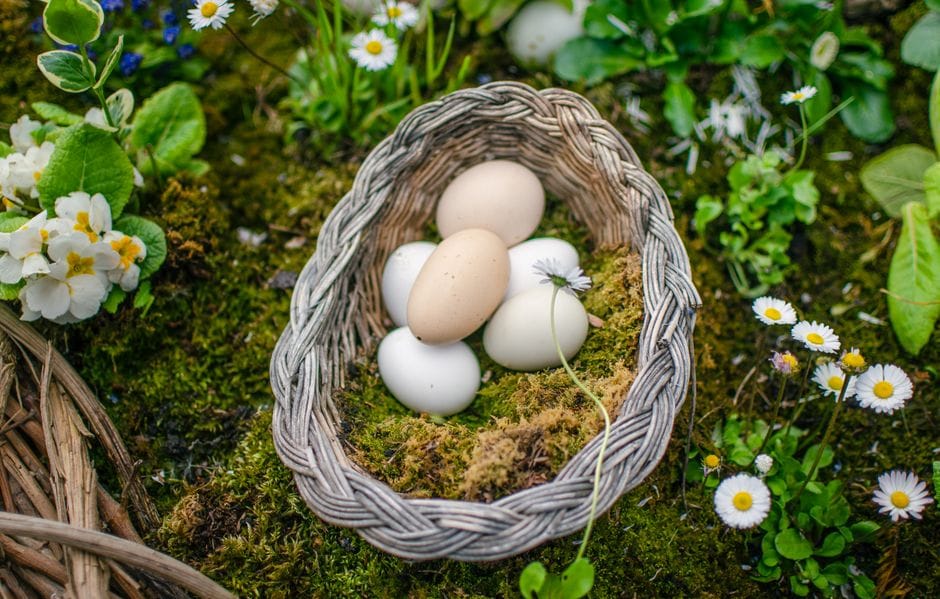 Diversification: why you should not put all your eggs in one basket