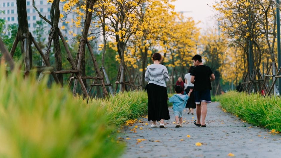 Life insurance: term cover or whole-of-life?